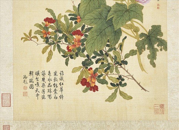 清鄒一桂蜀葵石榴　軸