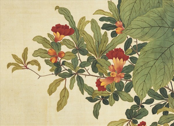 清鄒一桂蜀葵石榴　軸