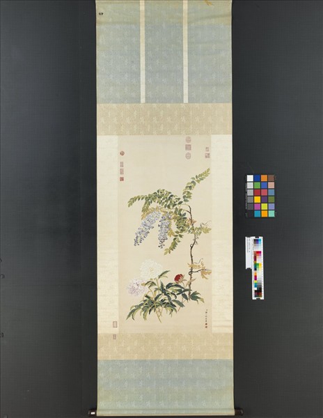 清鄒一桂畫藤花芍藥　軸