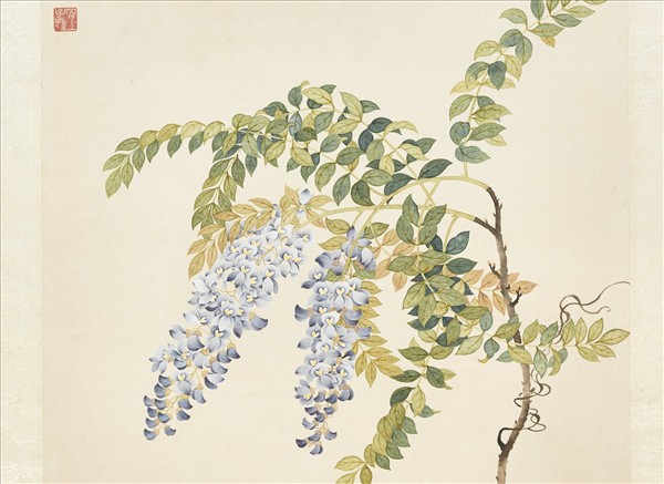 清鄒一桂畫藤花芍藥　軸