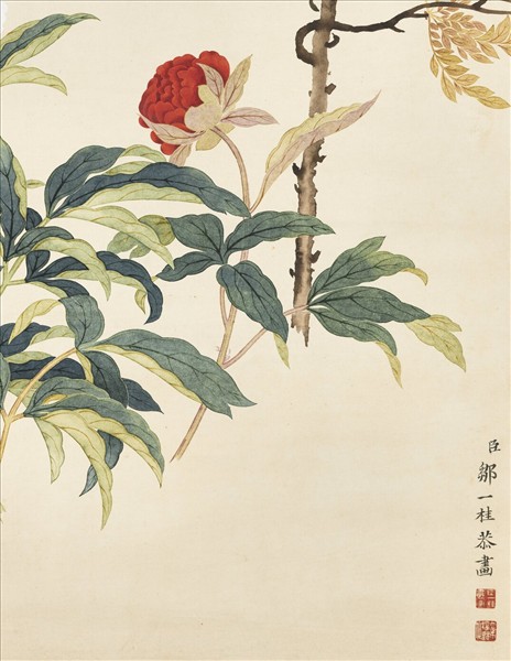 清鄒一桂畫藤花芍藥　軸