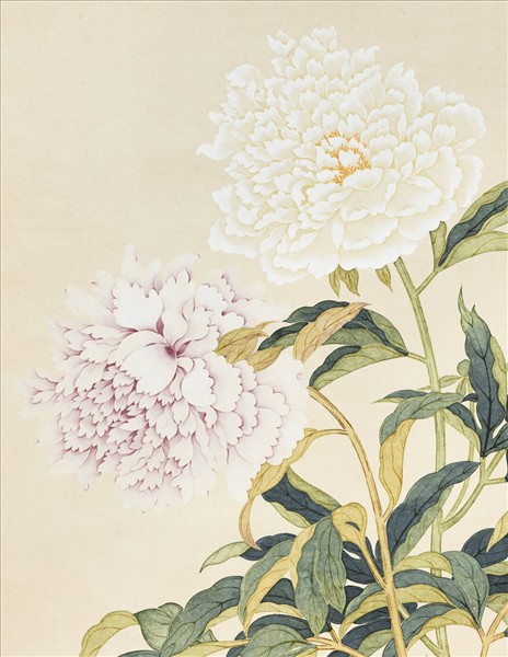 清鄒一桂畫藤花芍藥　軸