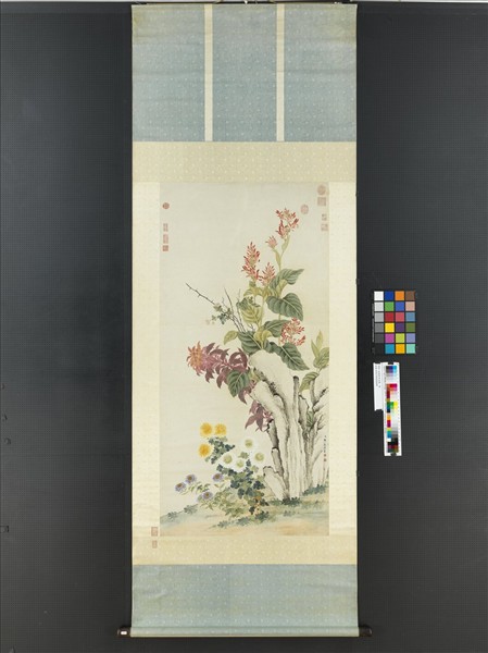 清鄒一桂畫秋英呈艷　軸