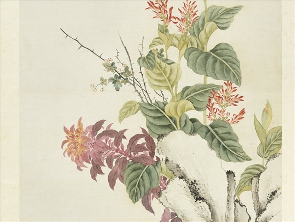 清鄒一桂畫秋英呈艷　軸