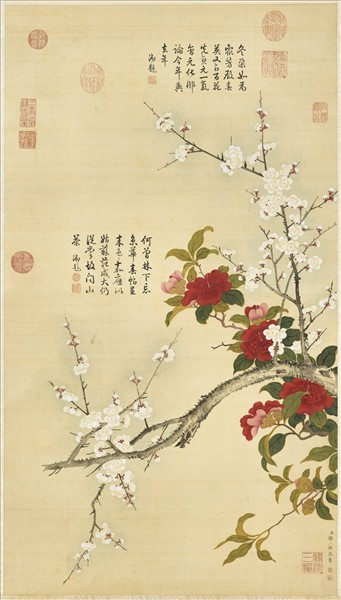 清鄒一桂畫白梅山茶　軸