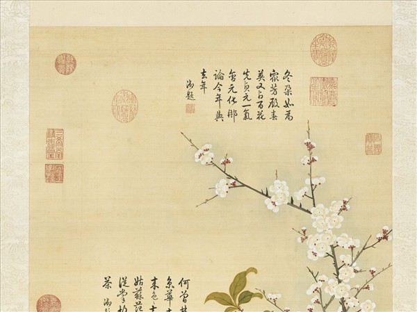 清鄒一桂畫白梅山茶　軸