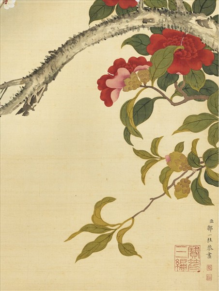 清鄒一桂畫白梅山茶　軸