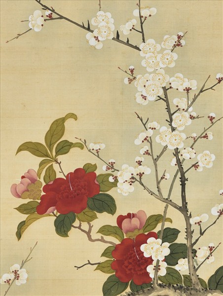 清鄒一桂畫白梅山茶　軸