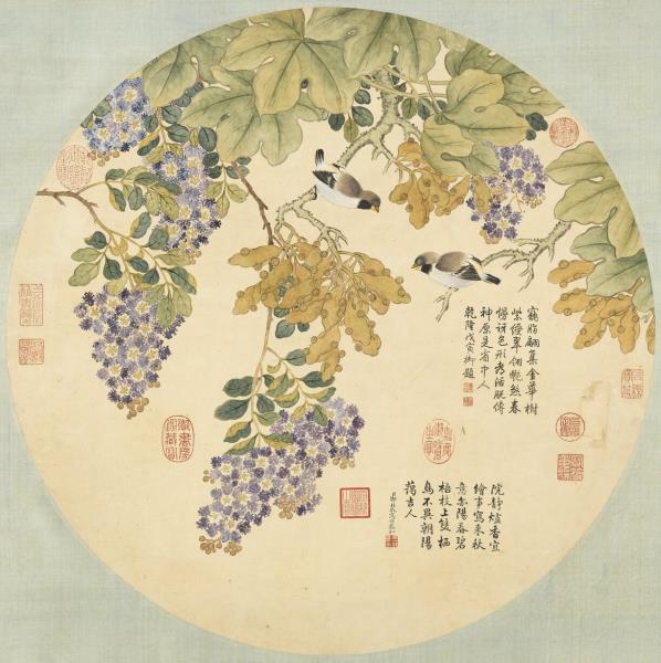 清鄒一桂梧桐紫薇　軸