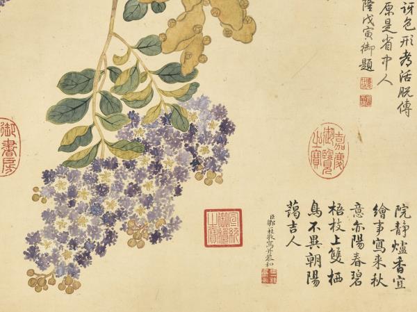 清鄒一桂梧桐紫薇　軸