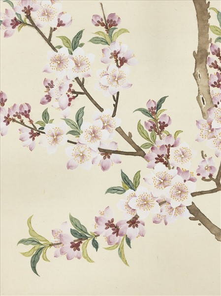 清鄒一桂畫桃花薔薇　軸