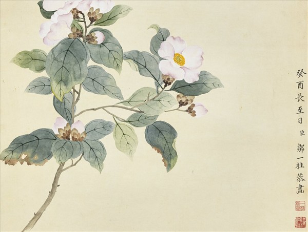 清鄒一桂畫蠟梅天竺山茶　軸