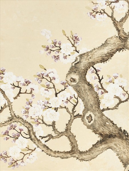 清鄒一桂杏花雙燕　軸