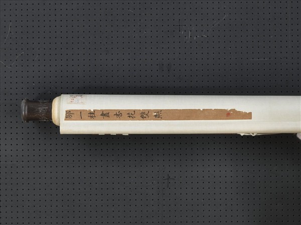 清鄒一桂杏花雙燕　軸