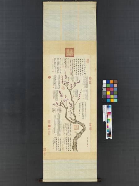 清鄒一桂杏花清高宗御題　軸