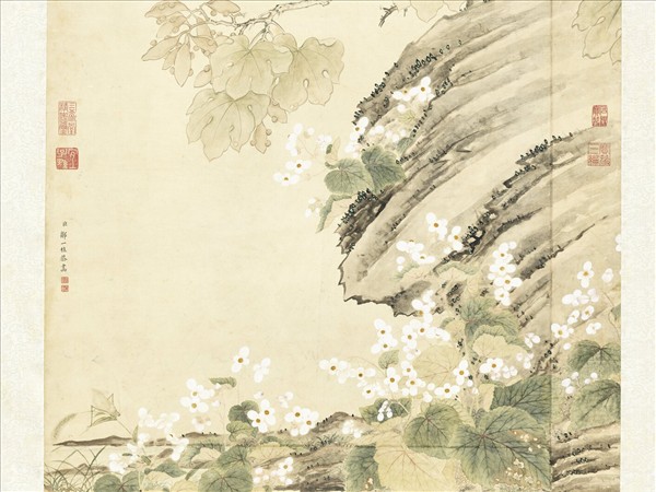 清鄒一桂畫秋海棠清高宗御題　軸