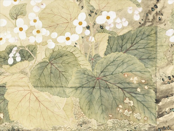 清鄒一桂畫秋海棠清高宗御題　軸