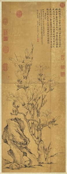 清蔣溥摹文徵明玉蘭花　軸