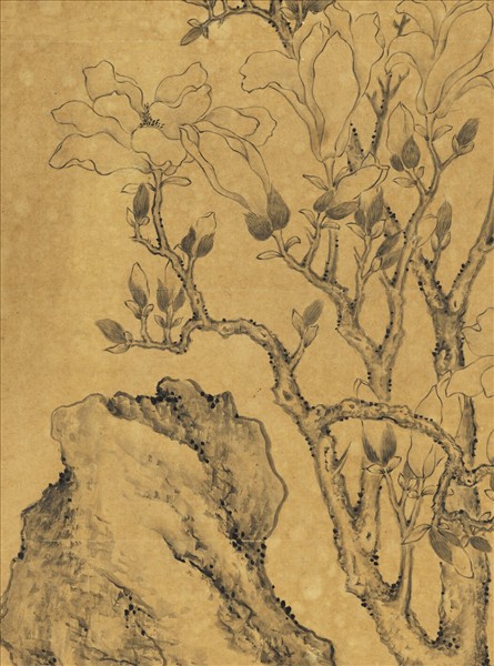 清蔣溥摹文徵明玉蘭花　軸