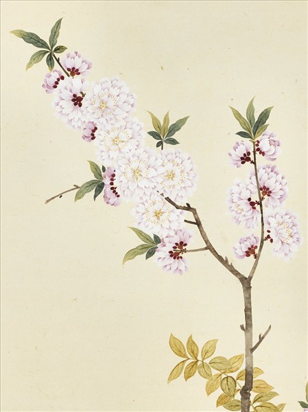 清錢維城畫花卉　軸