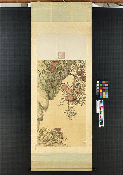 清錢載畫蟠桃苓芝　軸