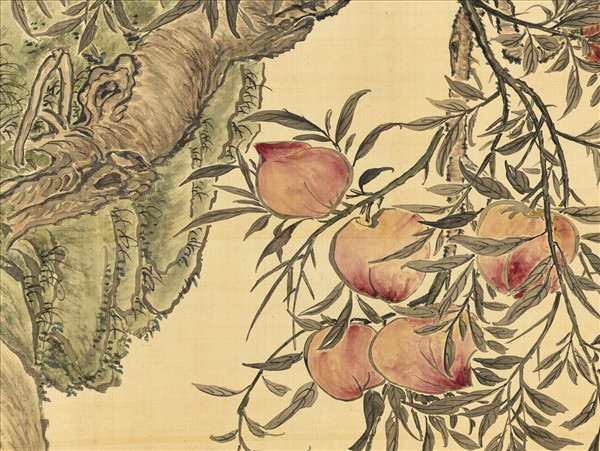 清錢載畫蟠桃苓芝　軸