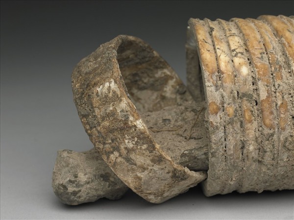 人腕骨套蚌環石英鐲