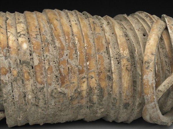 人腕骨套蚌環石英鐲