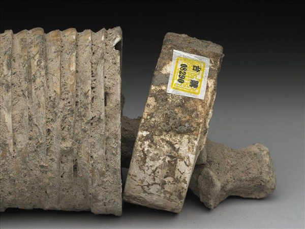 人腕骨套蚌環石英鐲