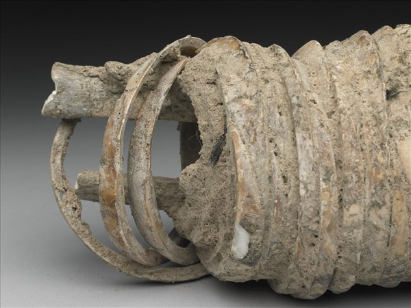 人腕骨套蚌環石英鐲