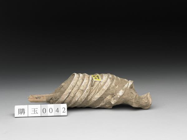 人腕骨套蚌環石英鐲