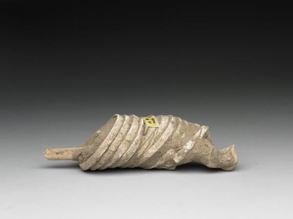 人腕骨套蚌環石英鐲