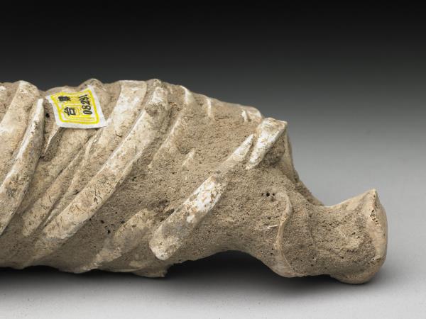 人腕骨套蚌環石英鐲