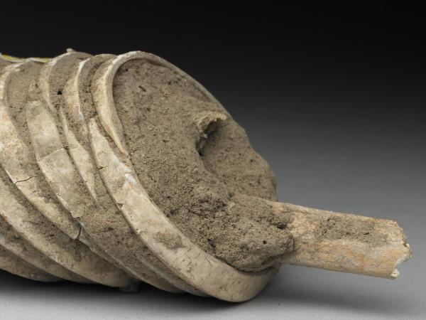 人腕骨套蚌環石英鐲