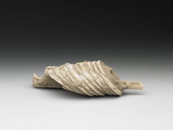 人腕骨套蚌環石英鐲