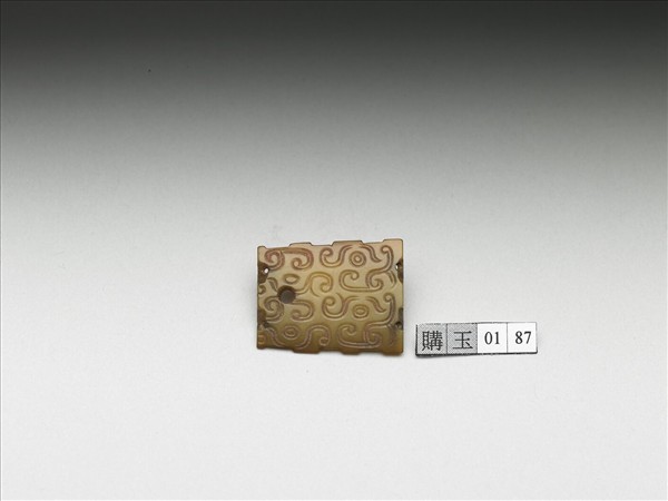 玉龍紋飾片