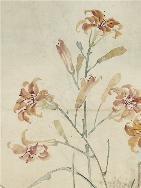 清金廷標畫萱花壽石　軸