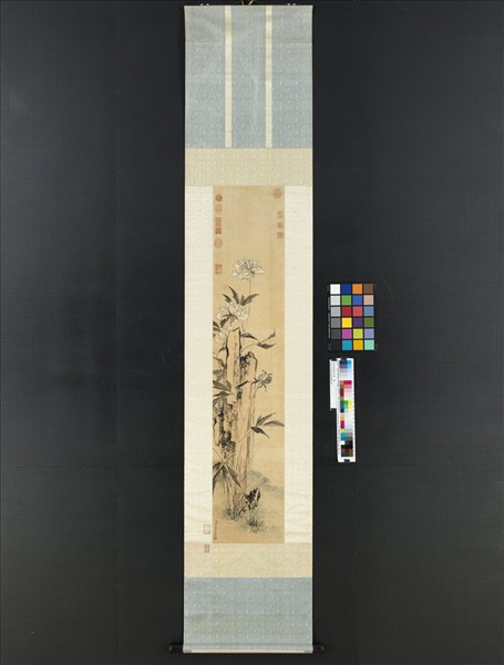 清金廷標畫芍藥　軸