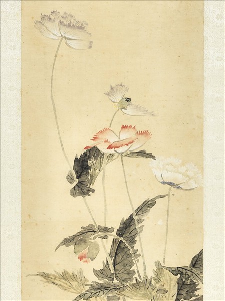 清金廷標畫罌粟　軸