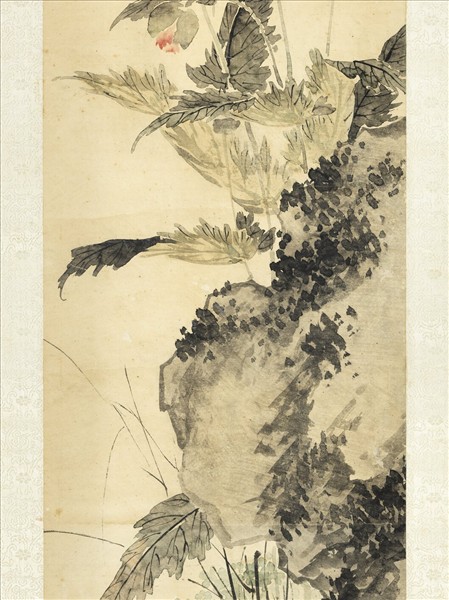 清金廷標畫罌粟　軸