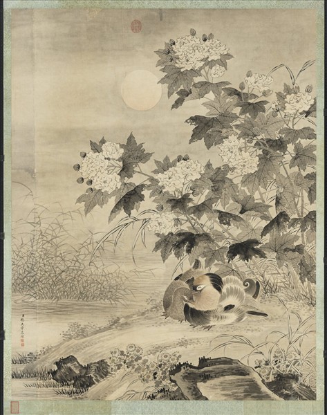 清楊大章畫秋渚眠禽　軸