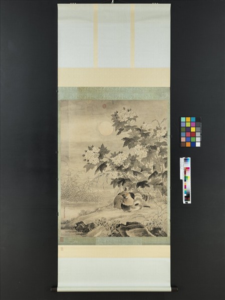 清楊大章畫秋渚眠禽　軸