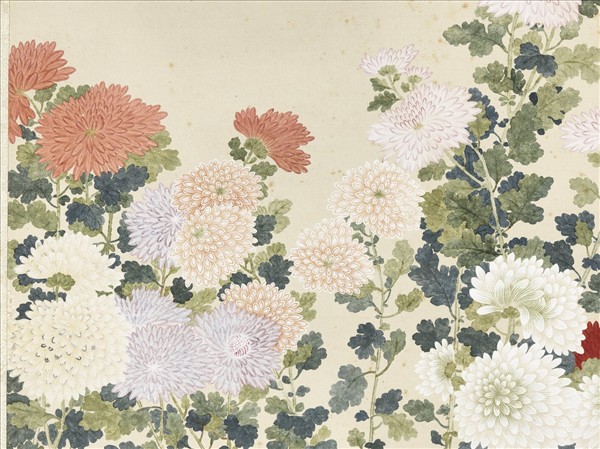 清鄒一桂菊石　軸