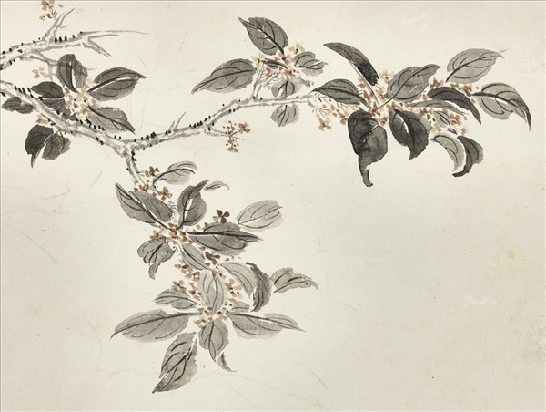 清蔣溥桂花雙兔　軸