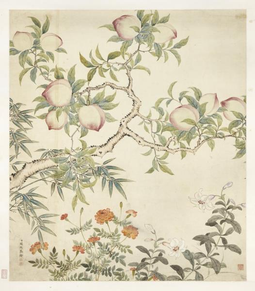 清關槐花卉圖　軸