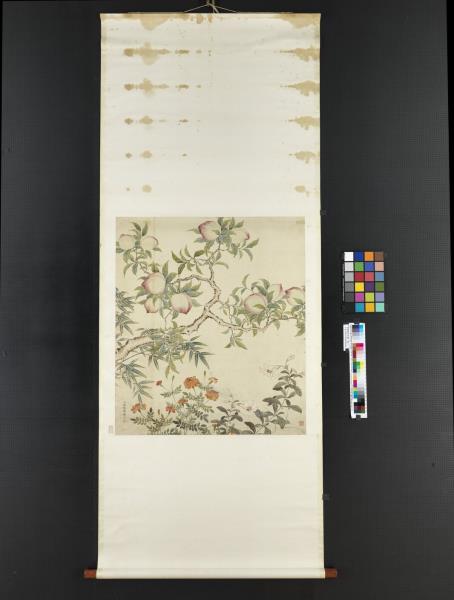 清關槐花卉圖　軸