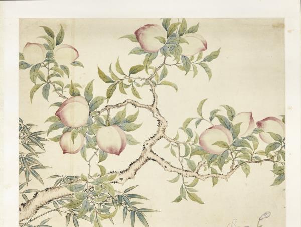 清關槐花卉圖　軸