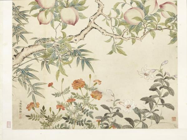 清關槐花卉圖　軸