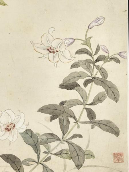 清關槐花卉圖　軸