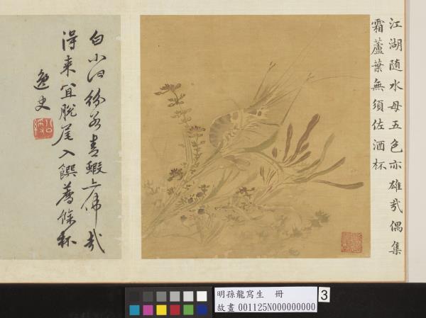 明孫龍寫生　冊　荇藻魚蝦